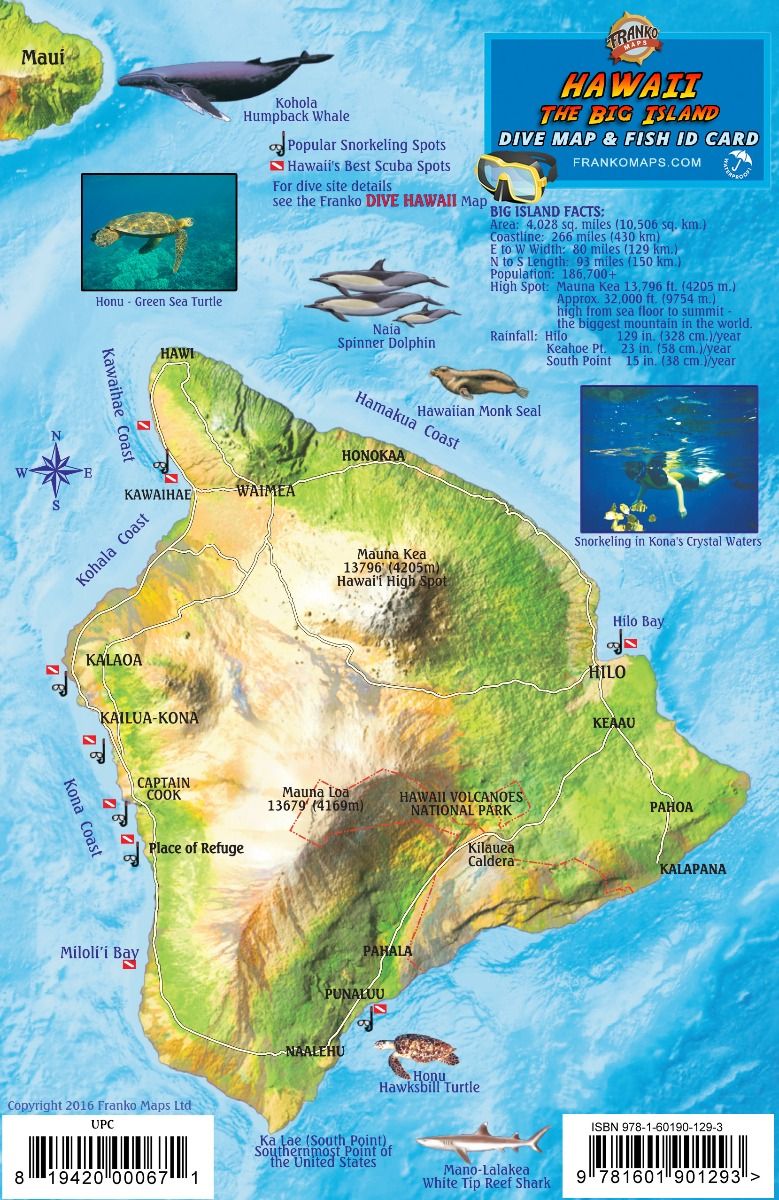 St Lucia Dive Map & Reef Creatures Guide Waterproof Fish Card by Franko Maps 