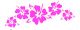 In Bloom Die Cut Sticker - Hibiscus Strip #900